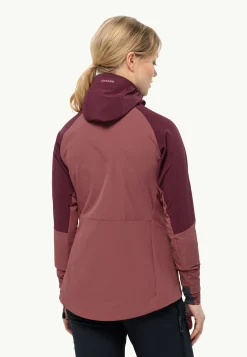 Alpspitze Hoody W