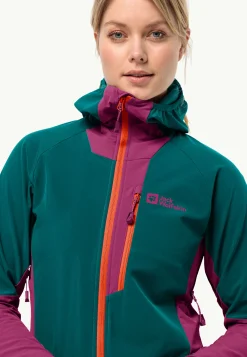 Alpspitze Hoody W