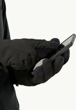 Alpspitze Merino Glove